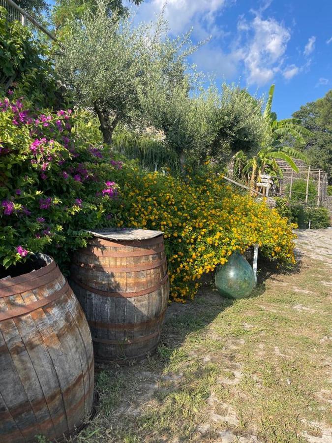 B&B Sunset Ercolano Luaran gambar